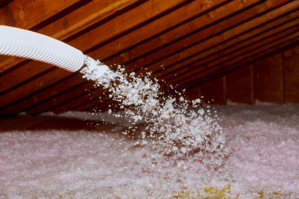 Best Insulation Replacement Services  in Pleasant Valley, WV